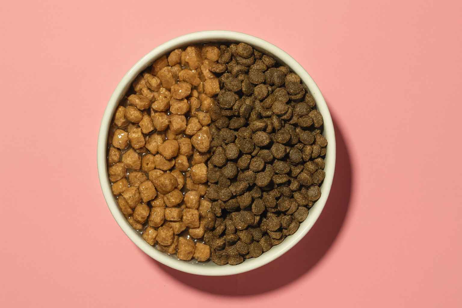 Overhead view of wet pet food and dry kibble side by side in a bowl on a pink background.